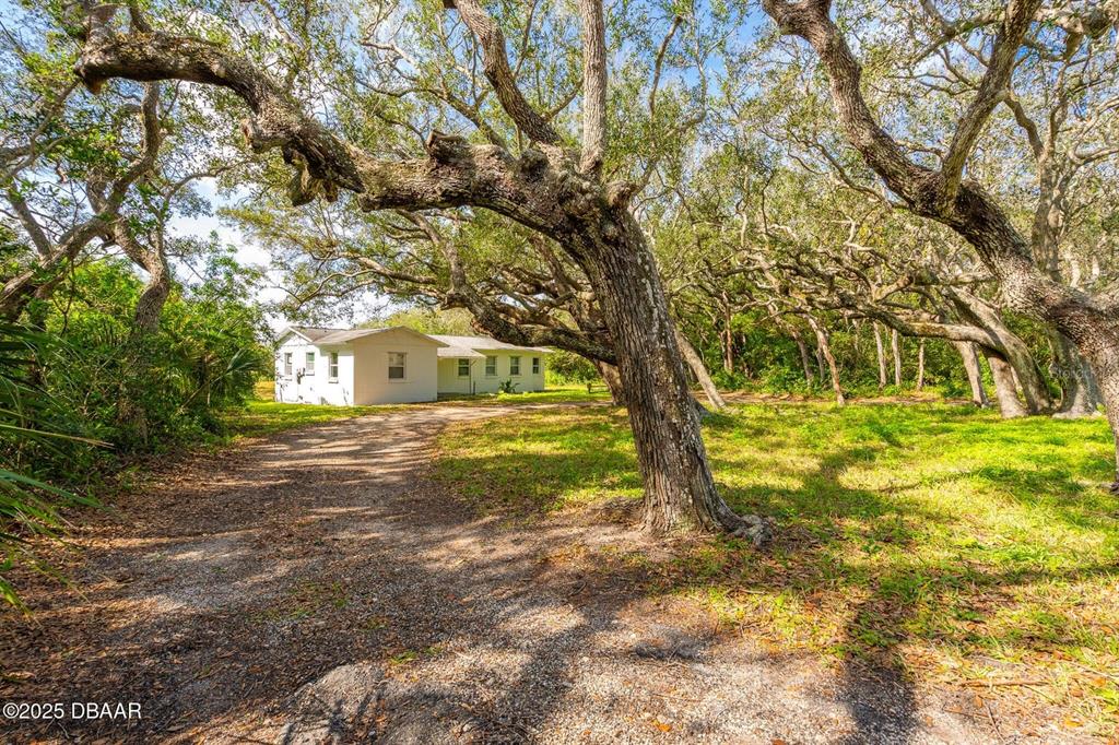 4770 South Peninsula Drive Ponce Inlet, FL 32127 - Photo 2 of 14 a front view of a house with a yard