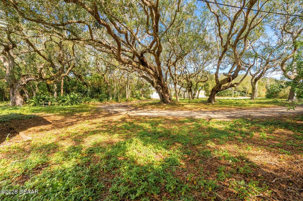 4770 South Peninsula Drive Ponce Inlet, FL 32127 - Photo 3 of 14 a view of dirt field with trees