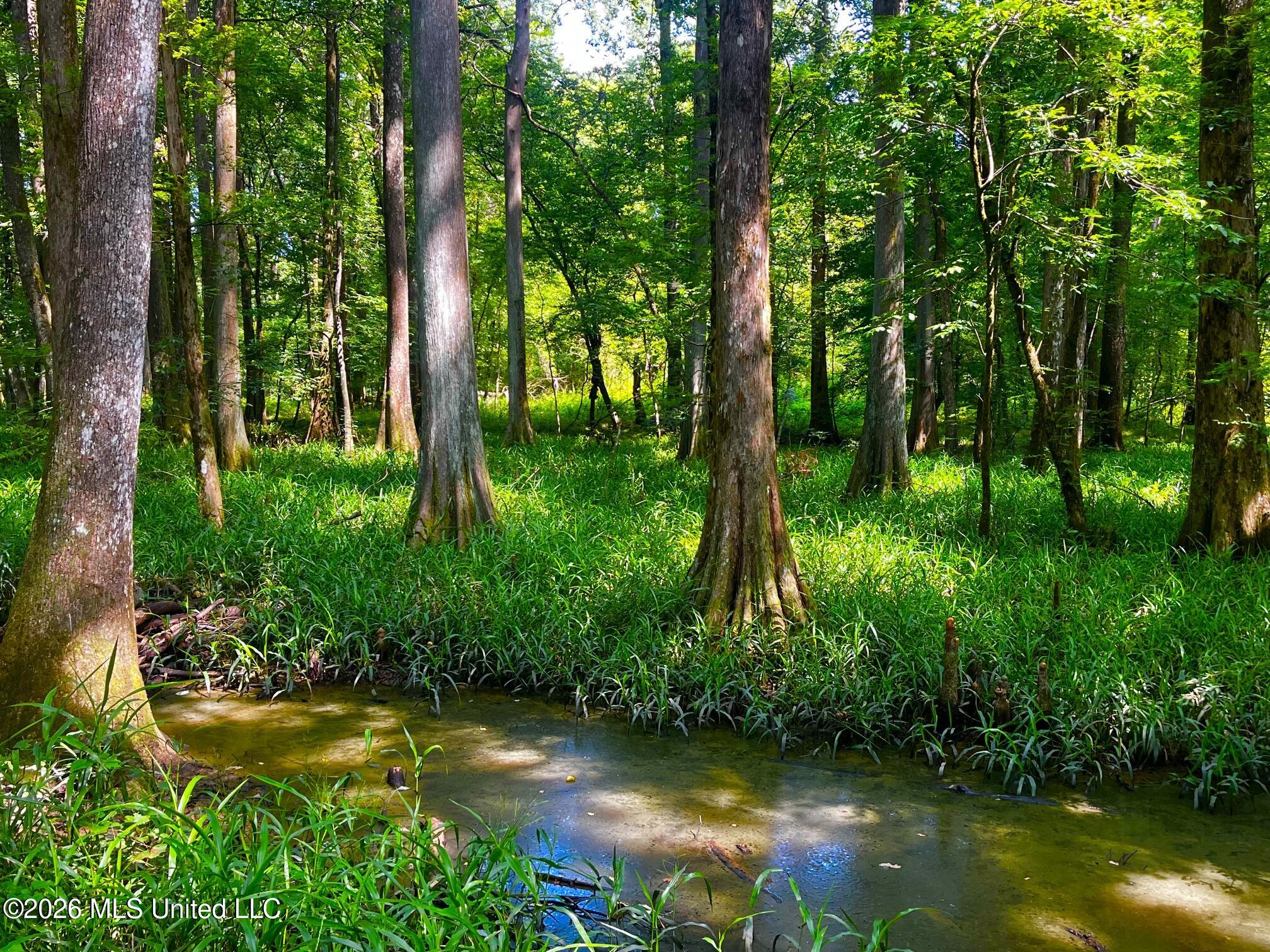 Perrytown Road Crosby, MS 39633 - Photo 26 of 32 s26