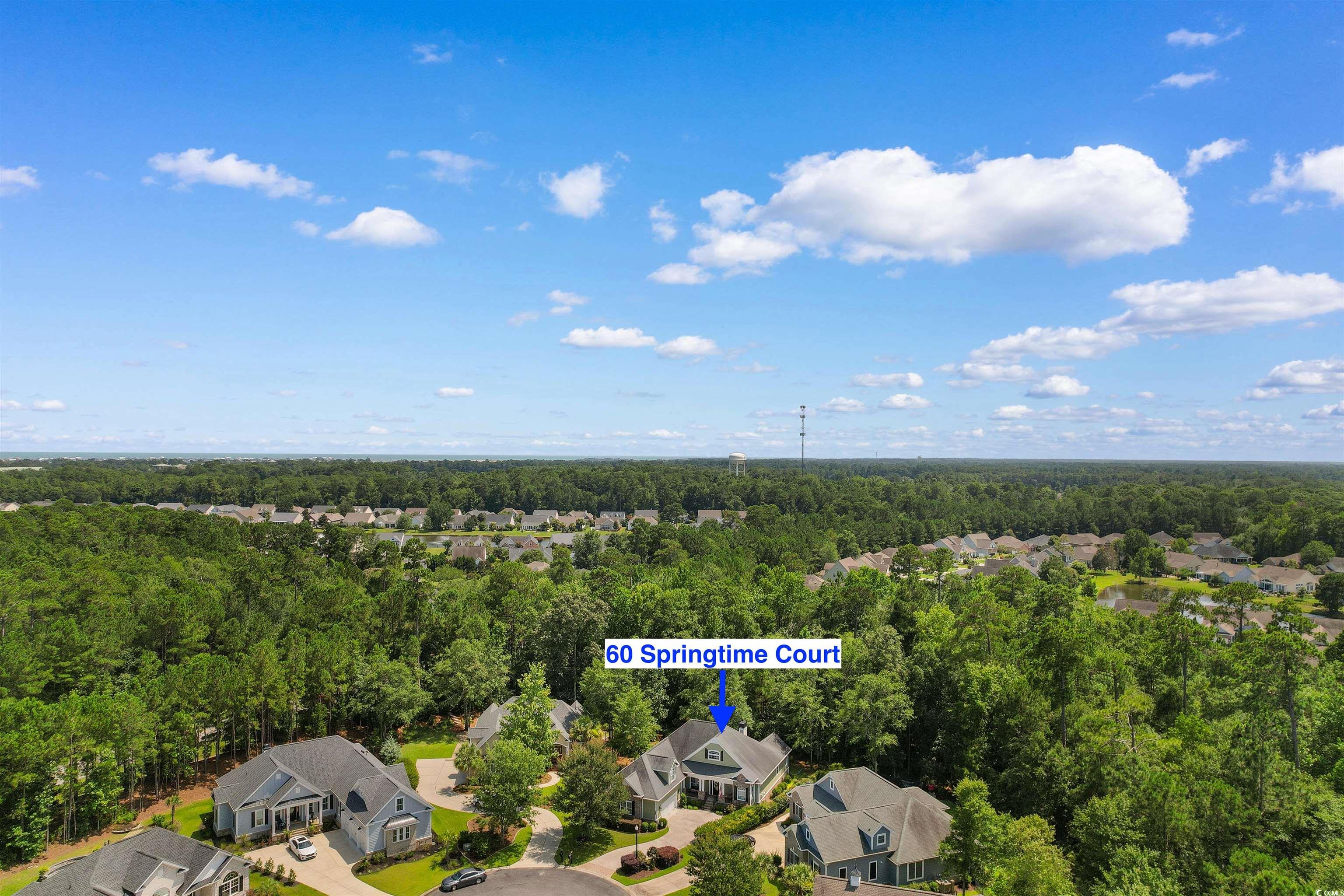 60 Springtime Court Murrells Inlet, SC 29576 - Photo 2 of 40 Gallery Image 2