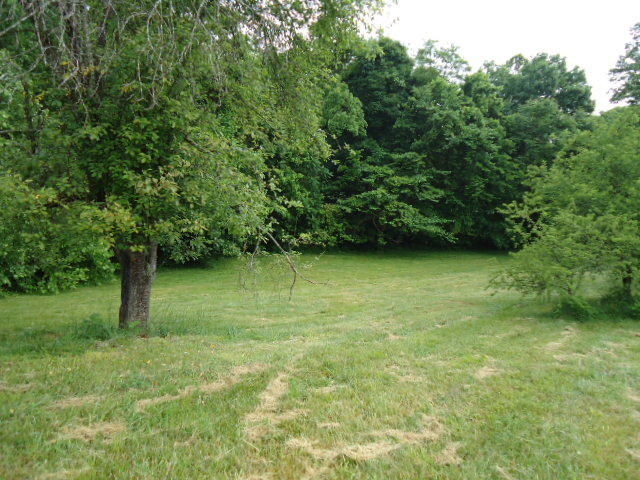9.05-ac Star Point Road Celina, TN 38551 - Photo 21 of 28 22