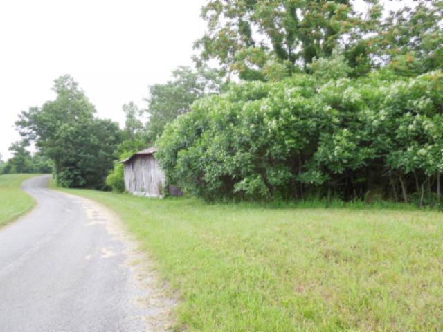 9.05-ac Star Point Road Celina, TN 38551 - Photo 7 of 28 06