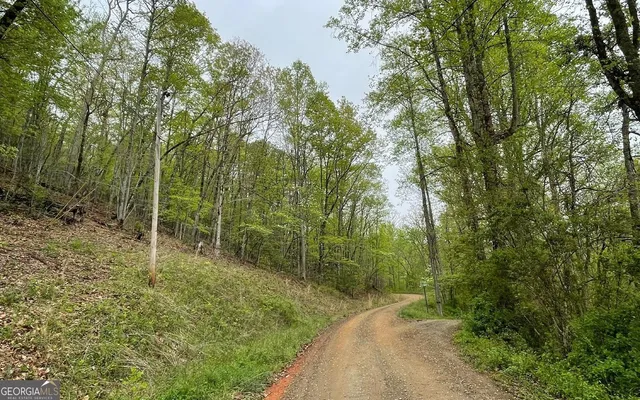 a big yard with lots of green space and house