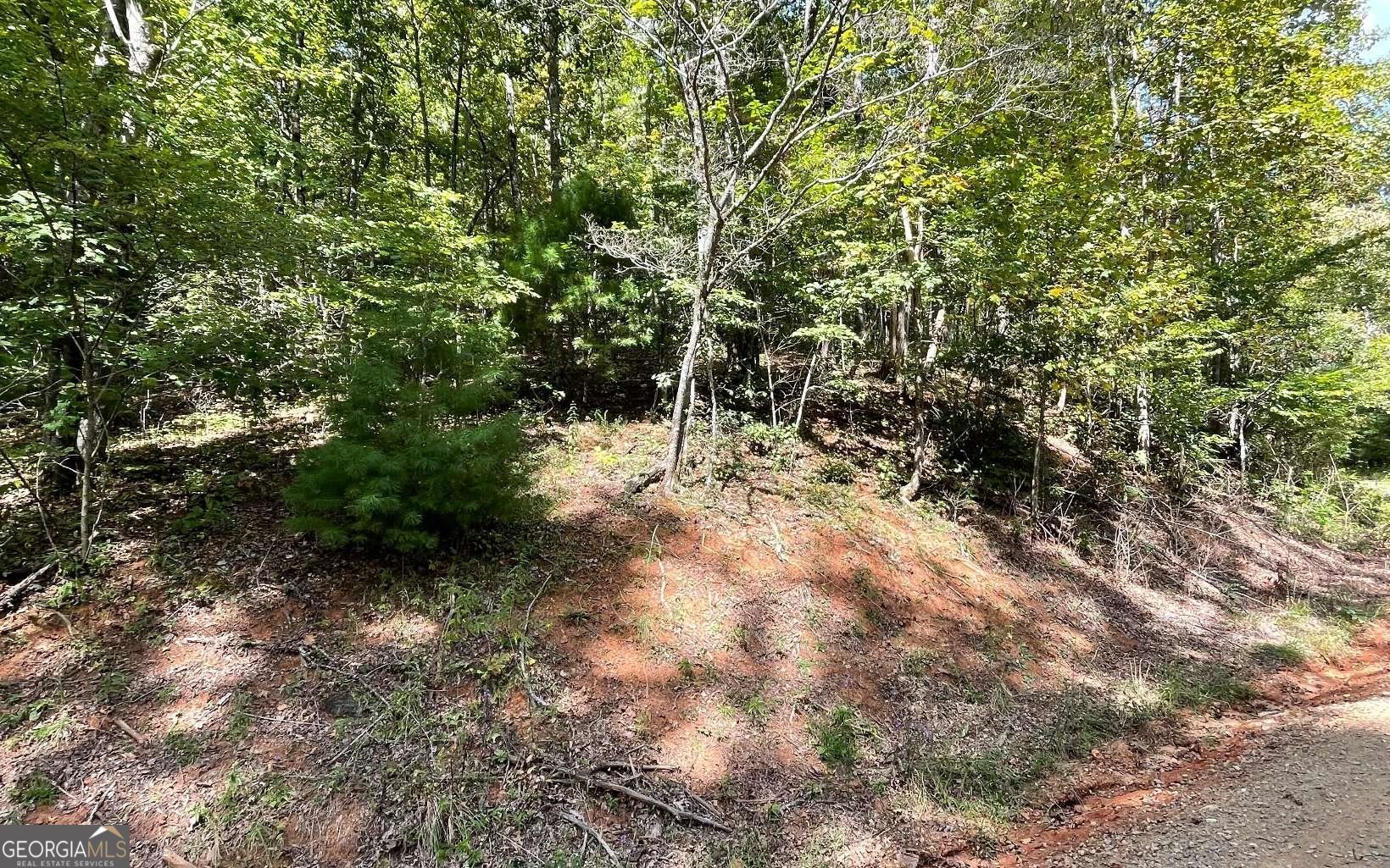 Lot 31 Nelson Ridge Hayesville, NC 28904 - Photo 15 of 15 a view of a forest with lots of trees