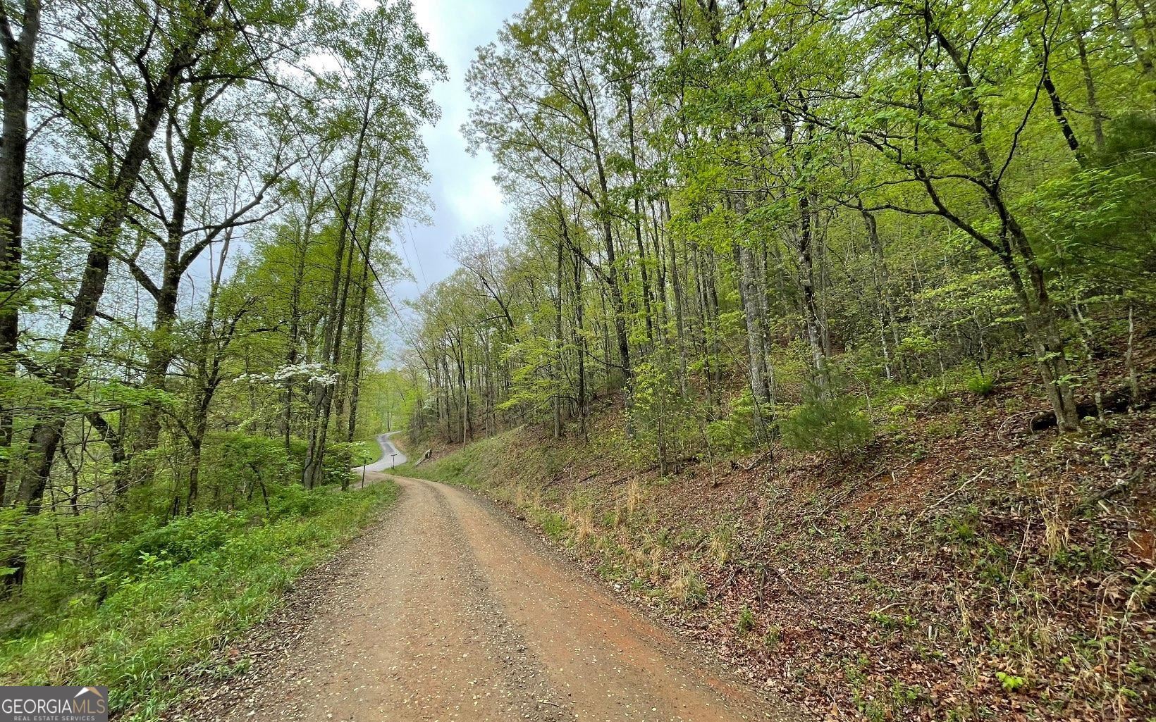 Lot 31 Nelson Ridge Hayesville, NC 28904 - Photo 3 of 15 a view of a pathway both side of yard