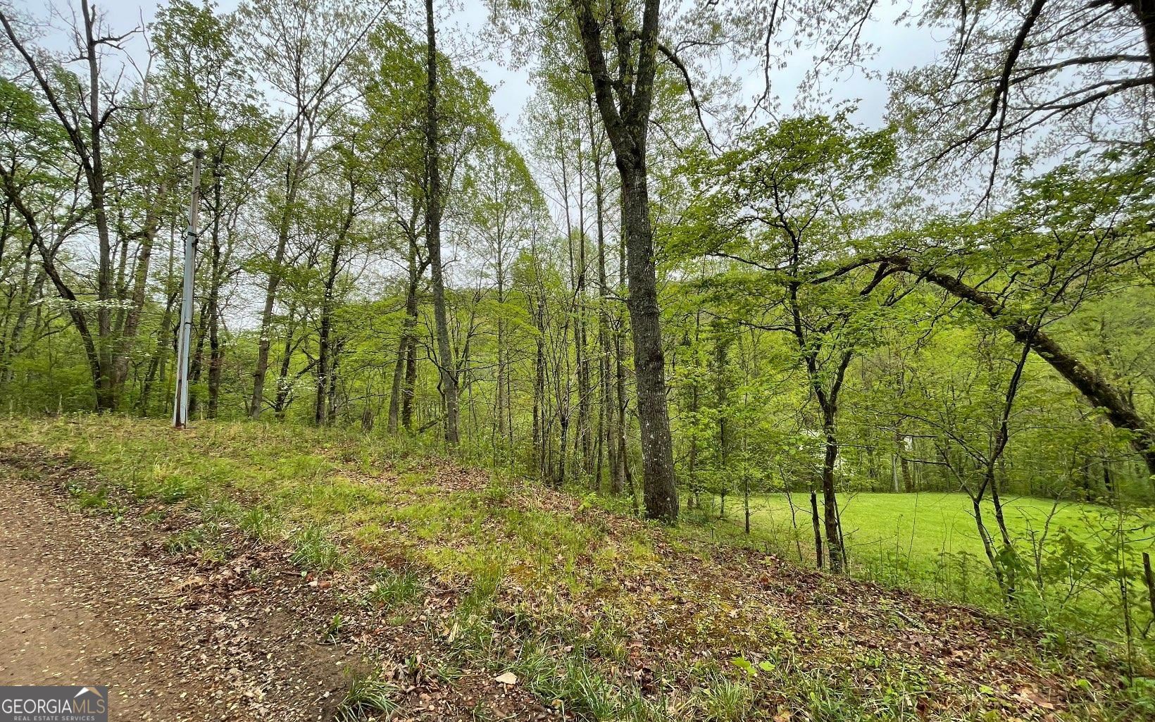 Lot 31 Nelson Ridge Hayesville, NC 28904 - Photo 5 of 15 a view of lush green forest