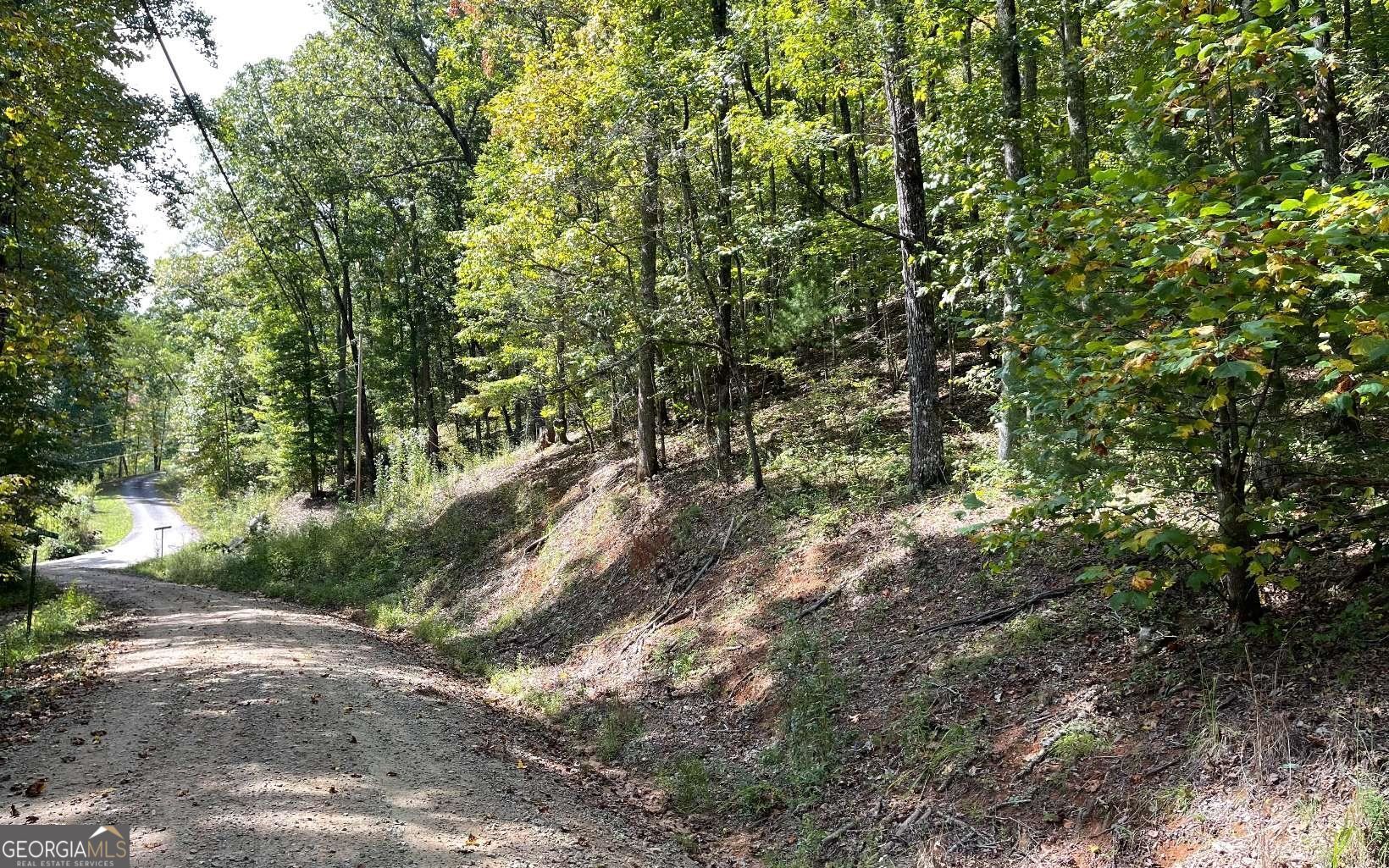 Lot 31 Nelson Ridge Hayesville, NC 28904 - Photo 7 of 15 a big yard with lots of trees