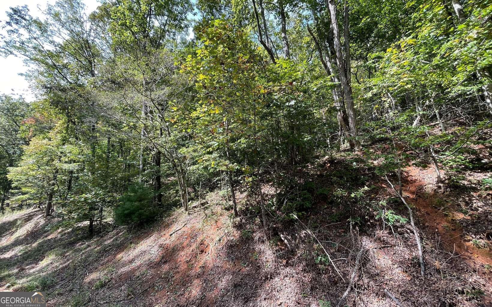 Lot 31 Nelson Ridge Hayesville, NC 28904 - Photo 8 of 15 a view of a yard with a tree