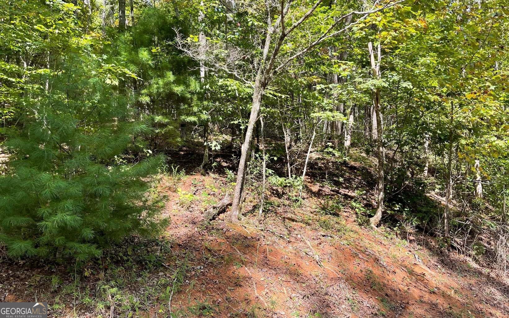 Lot 31 Nelson Ridge Hayesville, NC 28904 - Photo 9 of 15 a view of forest