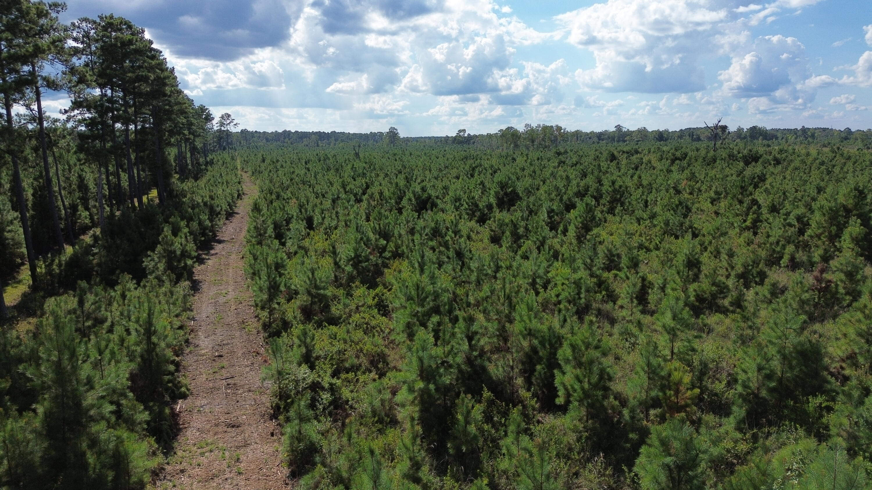 3 Bethel Forest Road Rowesville, SC 29133 - Photo 25 of 33 DJI_0171