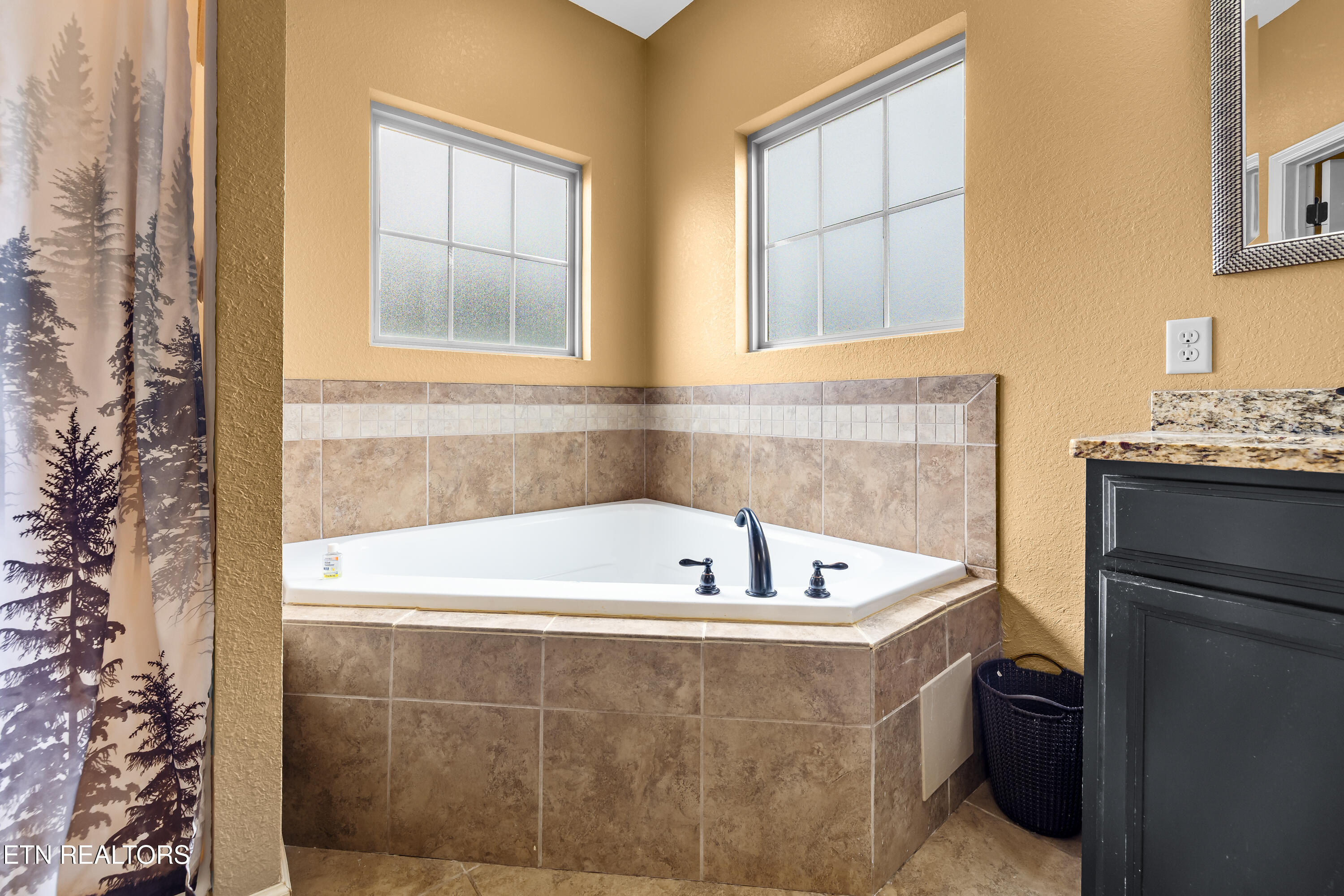 1252 Marble Hill Road Friendsville, TN 37737 - Photo 19 of 33 Jetted Tub