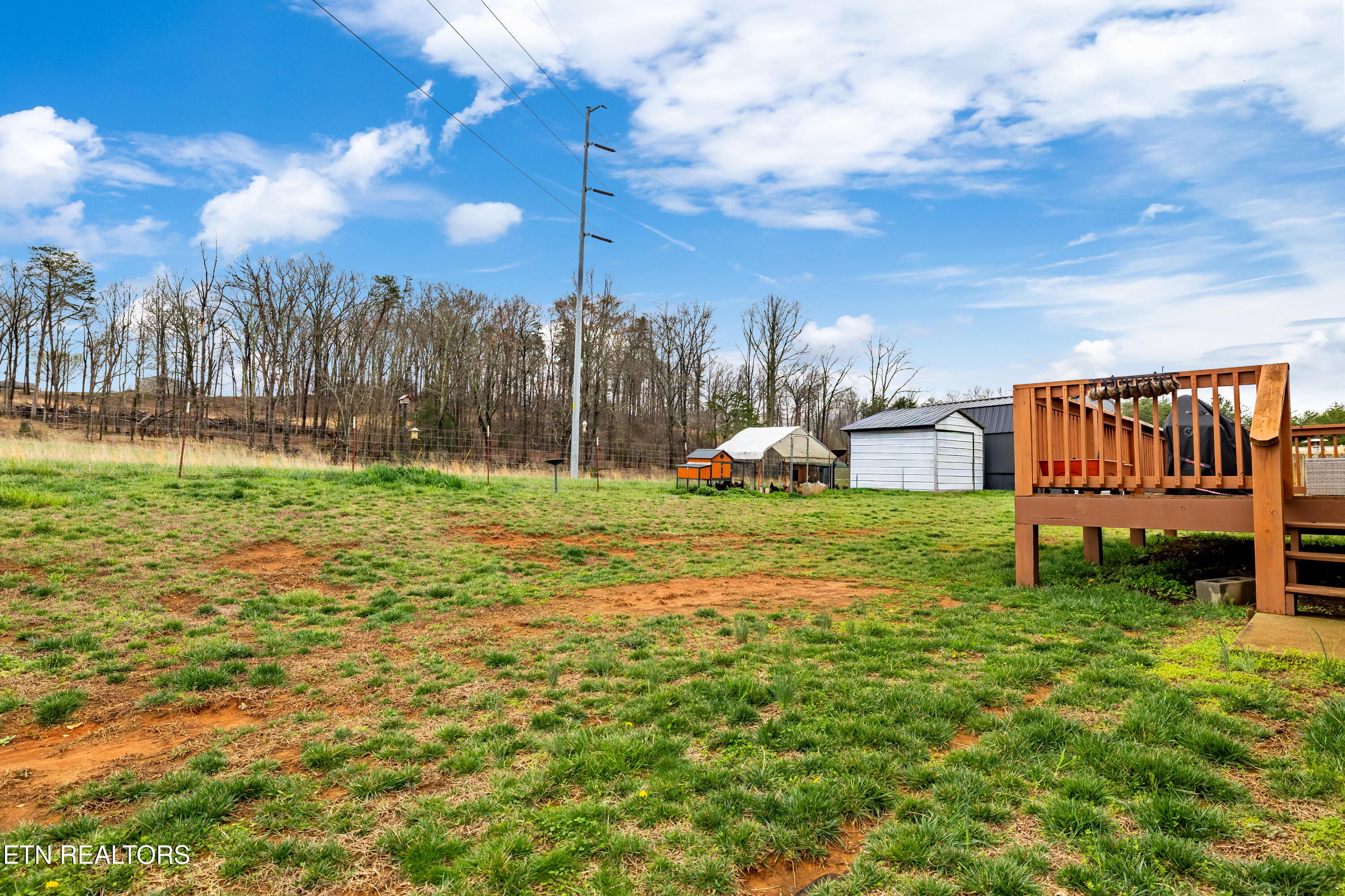 1252 Marble Hill Road Friendsville, TN 37737 - Photo 30 of 33 Back Lawn