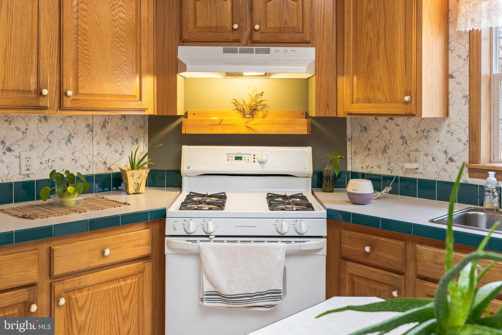 264 Vista Road Klingerstown, PA 17941 - Photo 23 of 38 Gas Stove