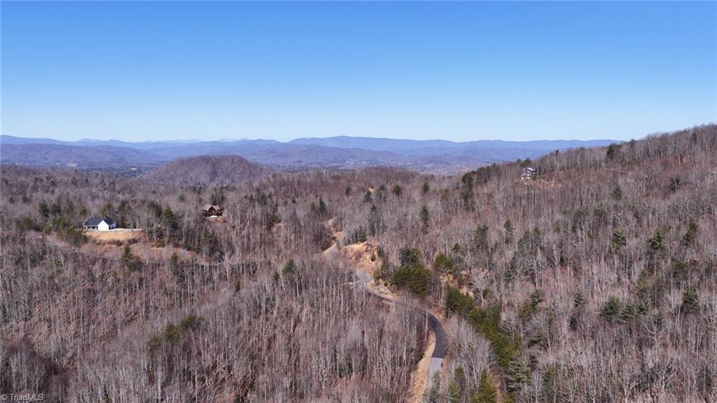 0 Ridge Run Road Boomer, NC 28606 - Photo 11 of 22