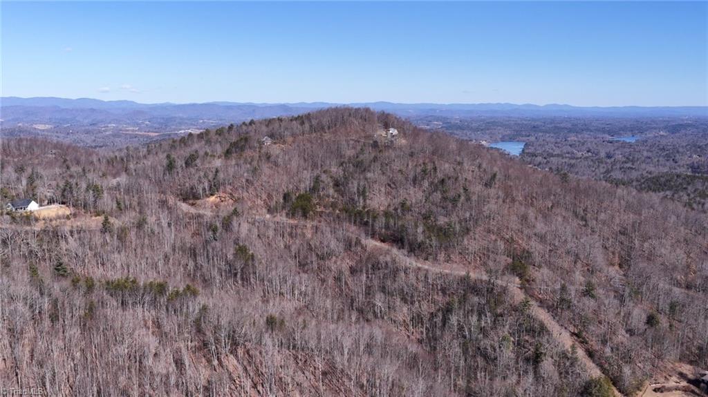 0 Ridge Run Road Boomer, NC 28606 - Photo 13 of 22