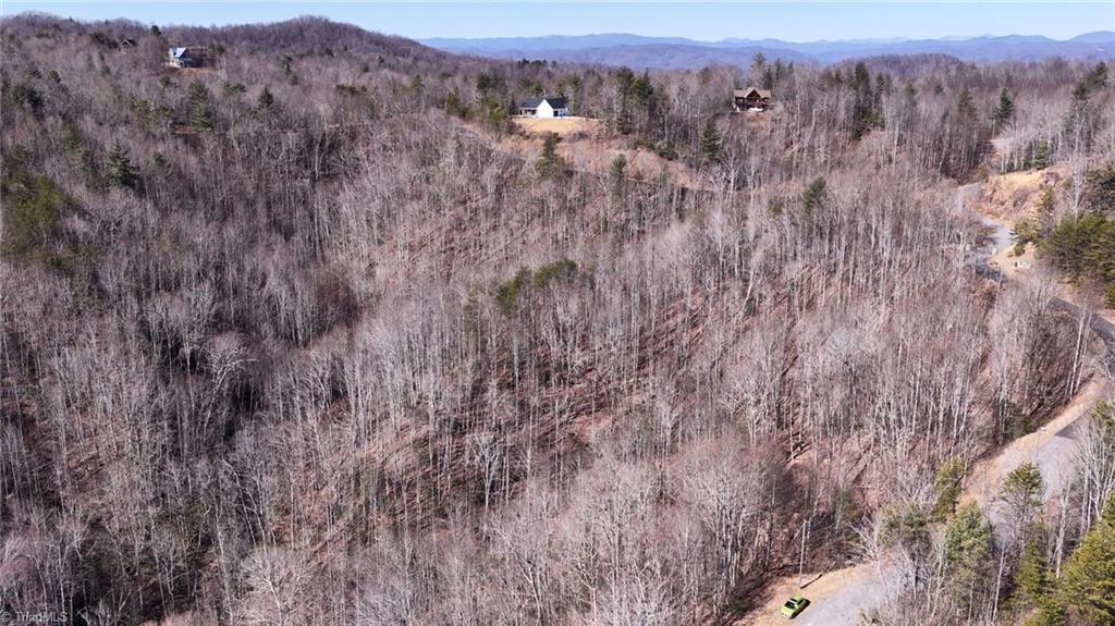 0 Ridge Run Road Boomer, NC 28606 - Photo 15 of 22