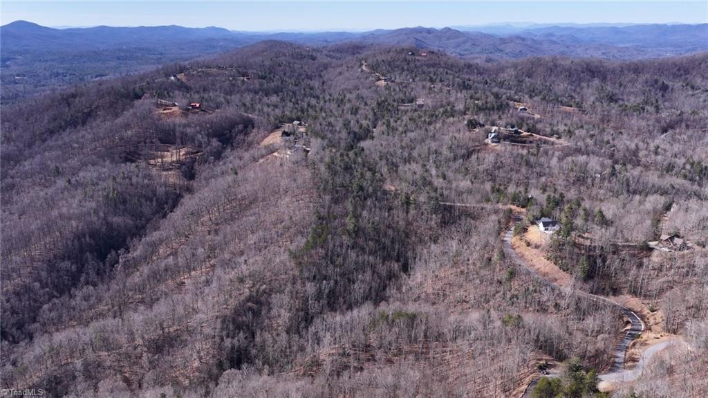 0 Ridge Run Road Boomer, NC 28606 - Photo 16 of 22