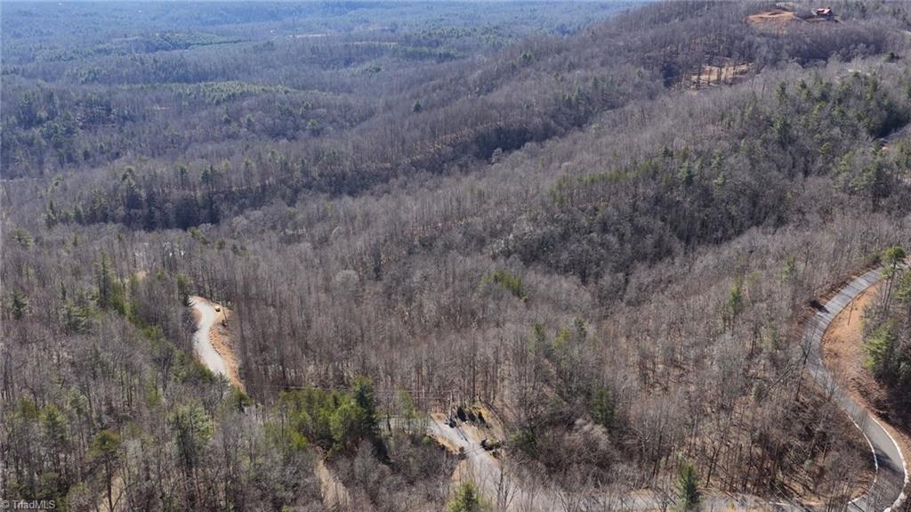0 Ridge Run Road Boomer, NC 28606 - Photo 17 of 22