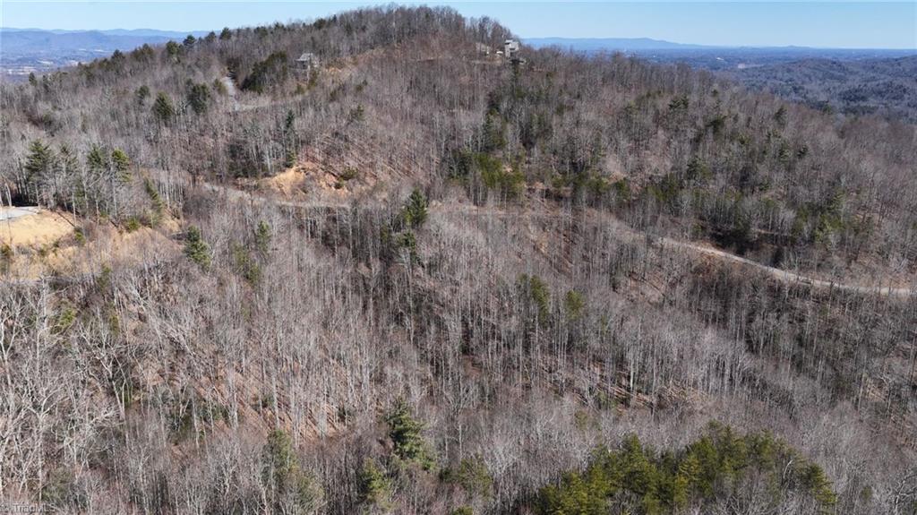 0 Ridge Run Road Boomer, NC 28606 - Photo 19 of 22