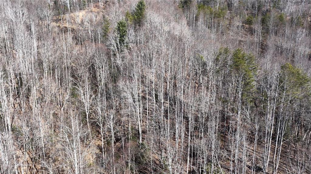 0 Ridge Run Road Boomer, NC 28606 - Photo 20 of 22