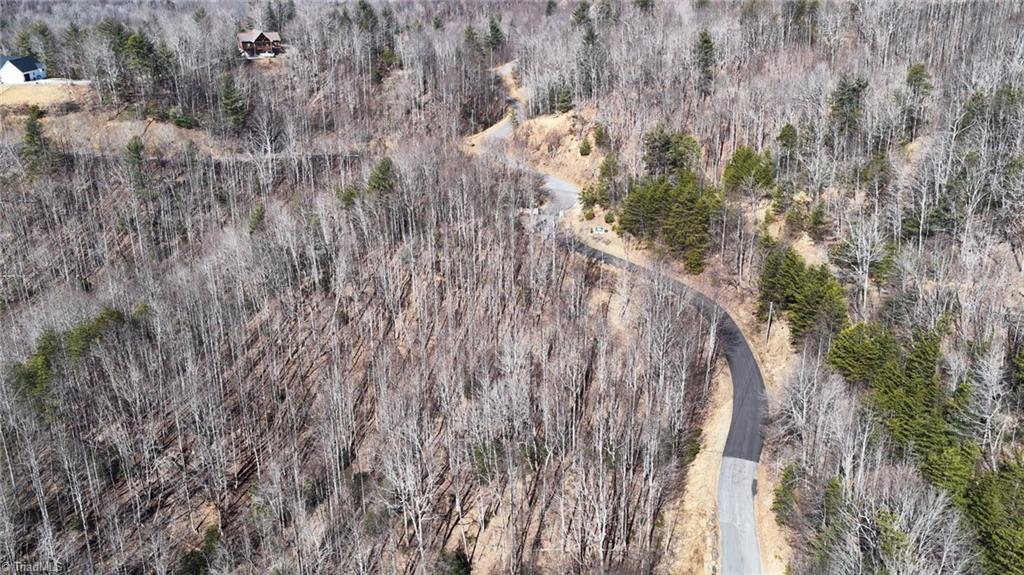 0 Ridge Run Road Boomer, NC 28606 - Photo 21 of 22