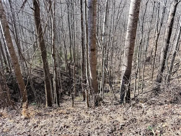 $45,900 | 0 Ridge Run Road, Boomer, NC 28606