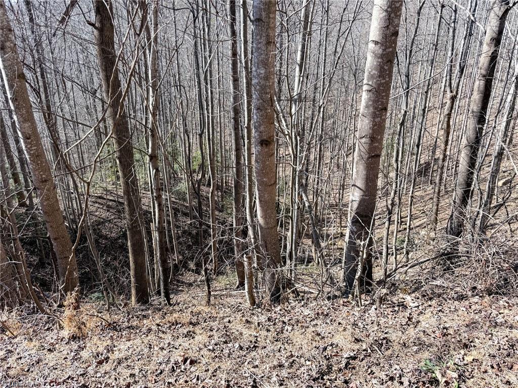 0 Ridge Run Road Boomer, NC 28606 - Photo 4 of 22