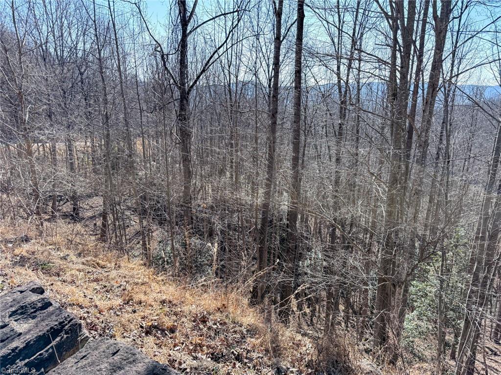 0 Ridge Run Road Boomer, NC 28606 - Photo 6 of 22