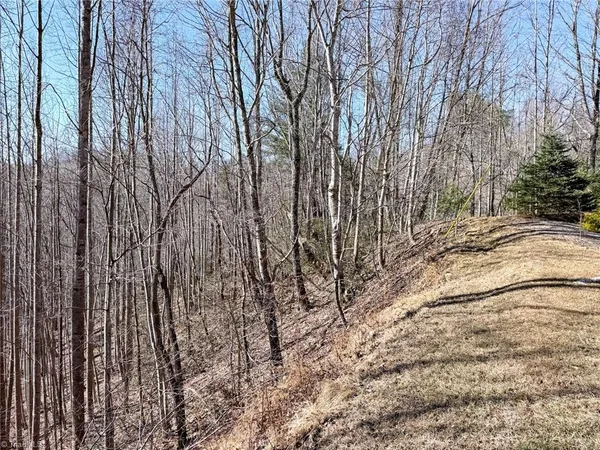 $45,900 | 0 Ridge Run Road, Boomer, NC 28606