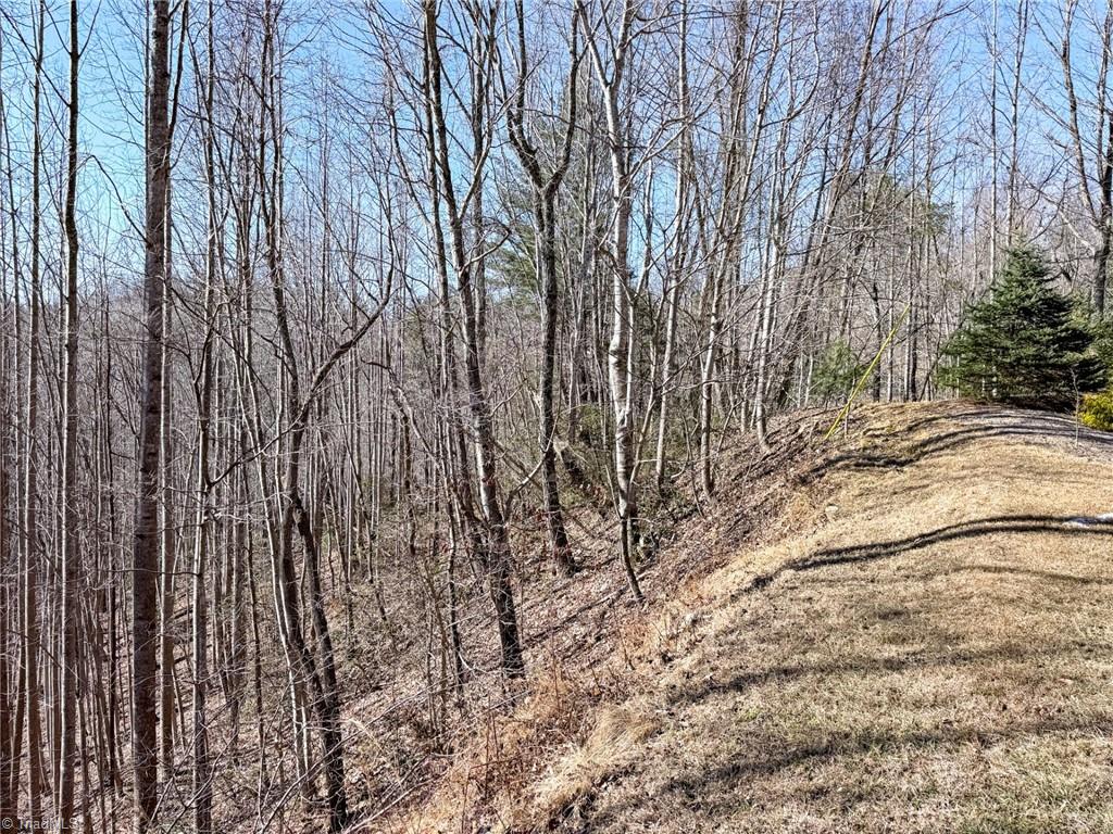 0 Ridge Run Road Boomer, NC 28606 - Photo 7 of 22