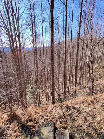 $45,900 | 0 Ridge Run Road, Boomer, NC 28606