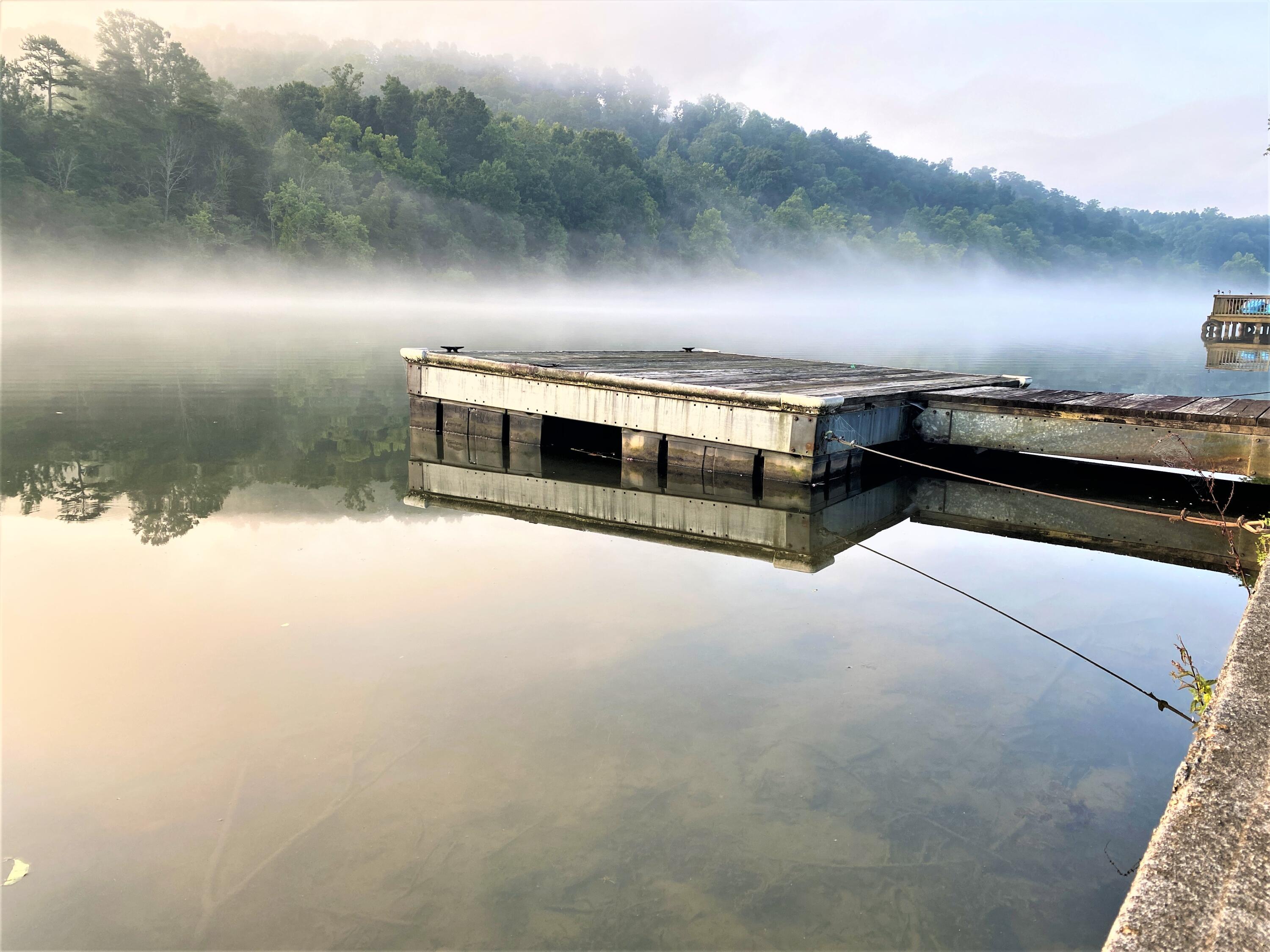 410 Riverside Drive Clinton, TN 37716 - Photo 31 of 32 Dock/Morning Fog