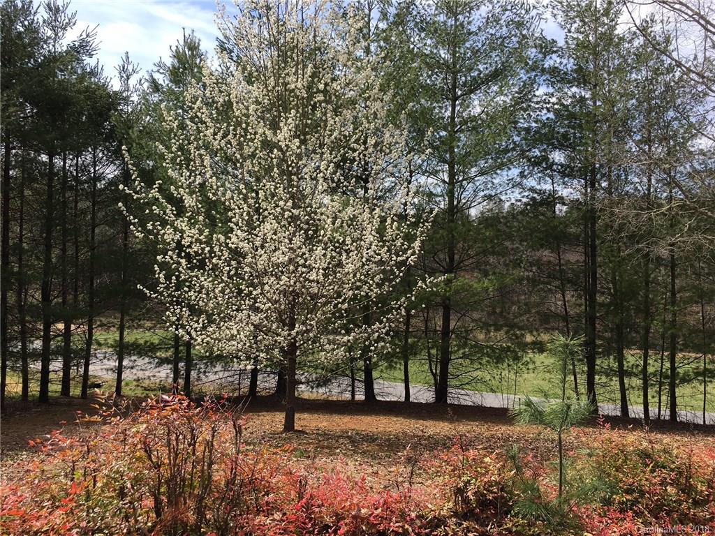 60 Fox Road Fairview, NC 28730 - Photo 12 of 35 Gallery Image 12