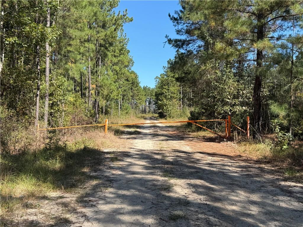 39.38 Branson Road Townsend, GA 31331 - Photo 1 of 21