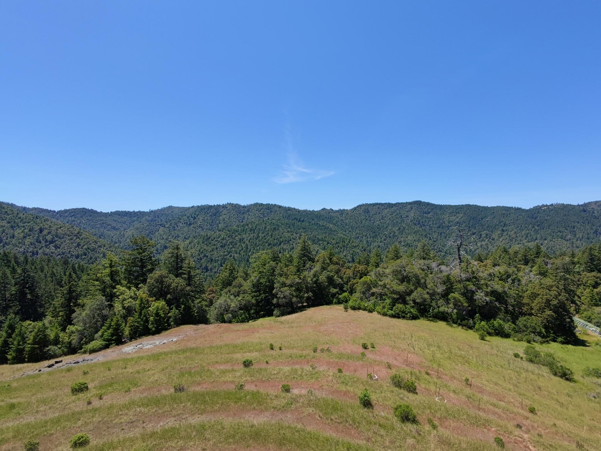 3800 Hansen Ranch Road Garberville, CA 95542 - Photo 61 of 66