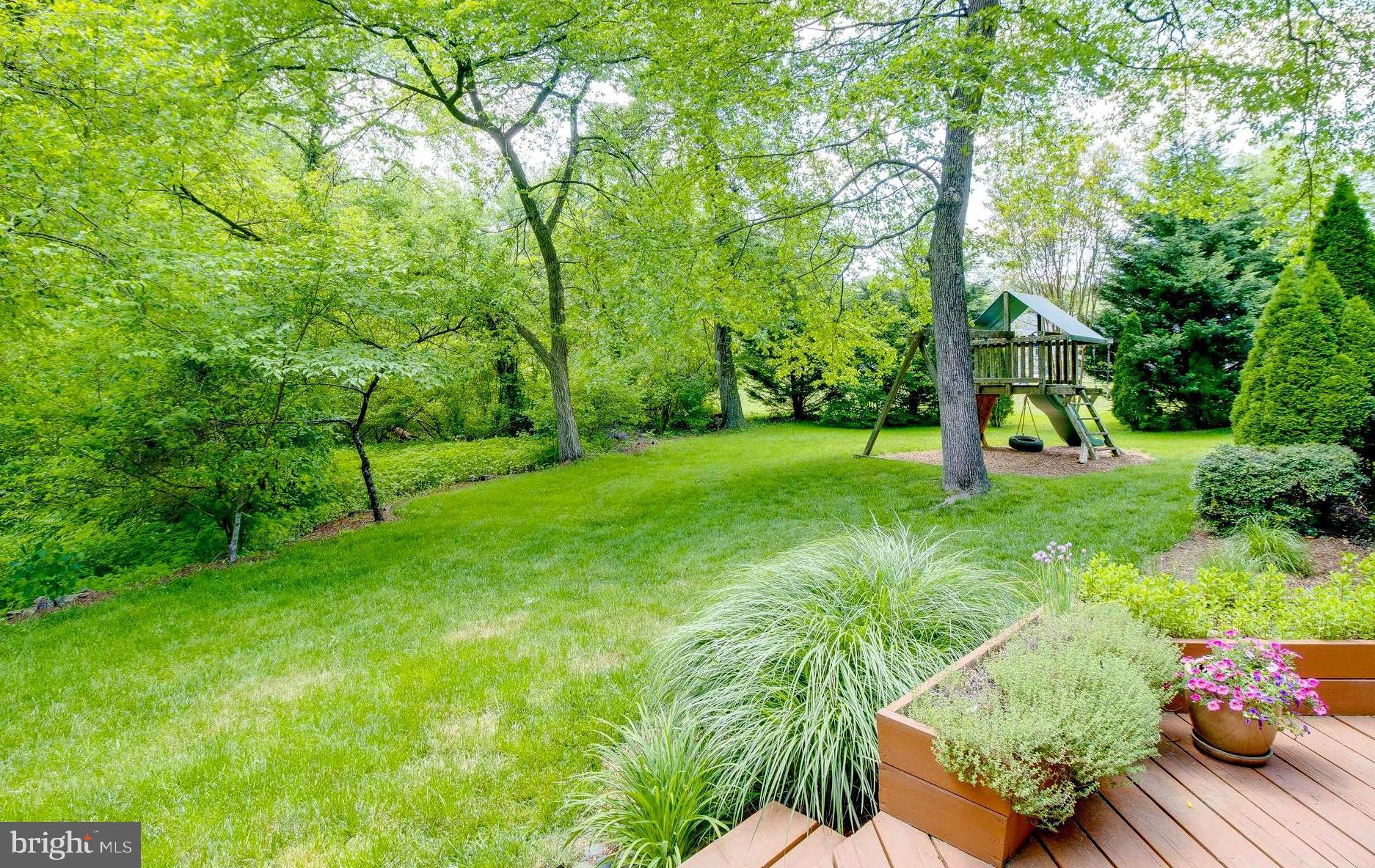 1602 Comanche Road Arnold, MD 21012 - Photo 5 of 40 Verdant .59 Acre . Treehouse Playset for ALL Ages!