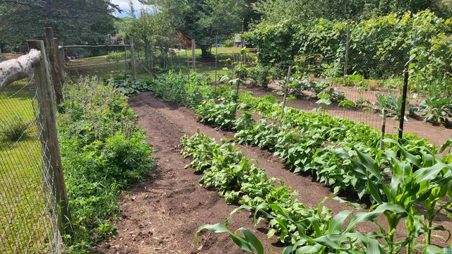 $299,000 | 63965 Co Hwy H, Delta, WI 54847