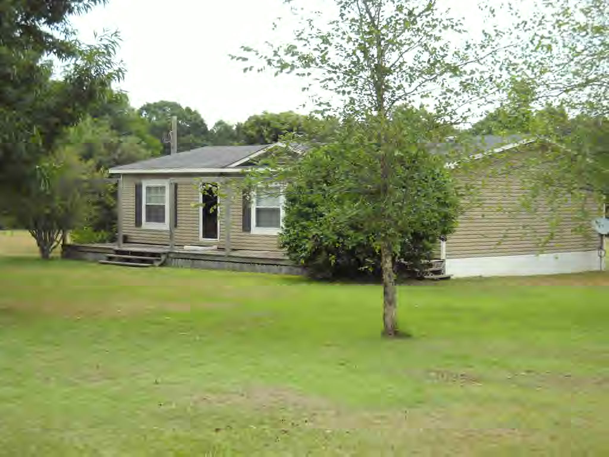 Main View