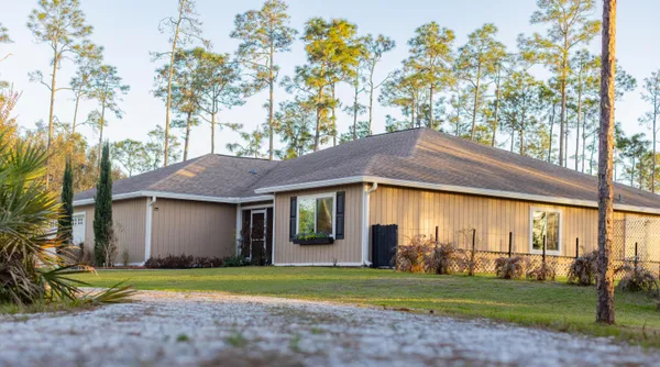a close up of a plant in a garden