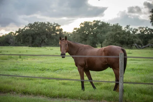 $749,900 | 32801 Highway 441, Unit 43, Okeechobee, FL 34972