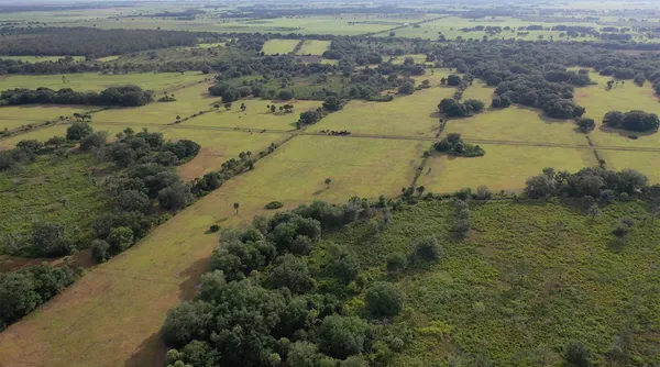 $749,900 | 32801 Highway 441, Unit 43, Okeechobee, FL 34972