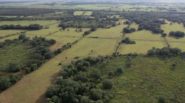 $749,900 | 32801 Highway 441, Unit 43, Okeechobee, FL 34972