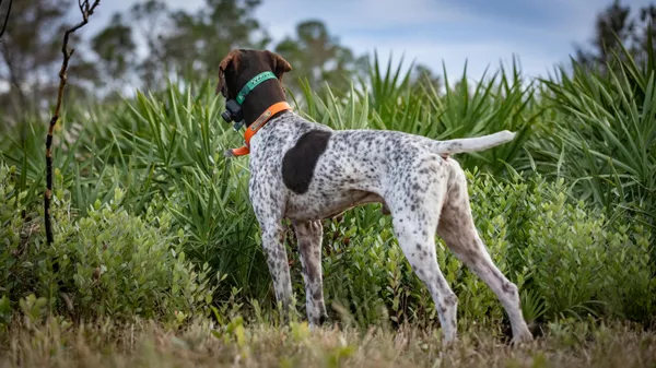 $749,900 | 32801 Highway 441, Unit 43, Okeechobee, FL 34972