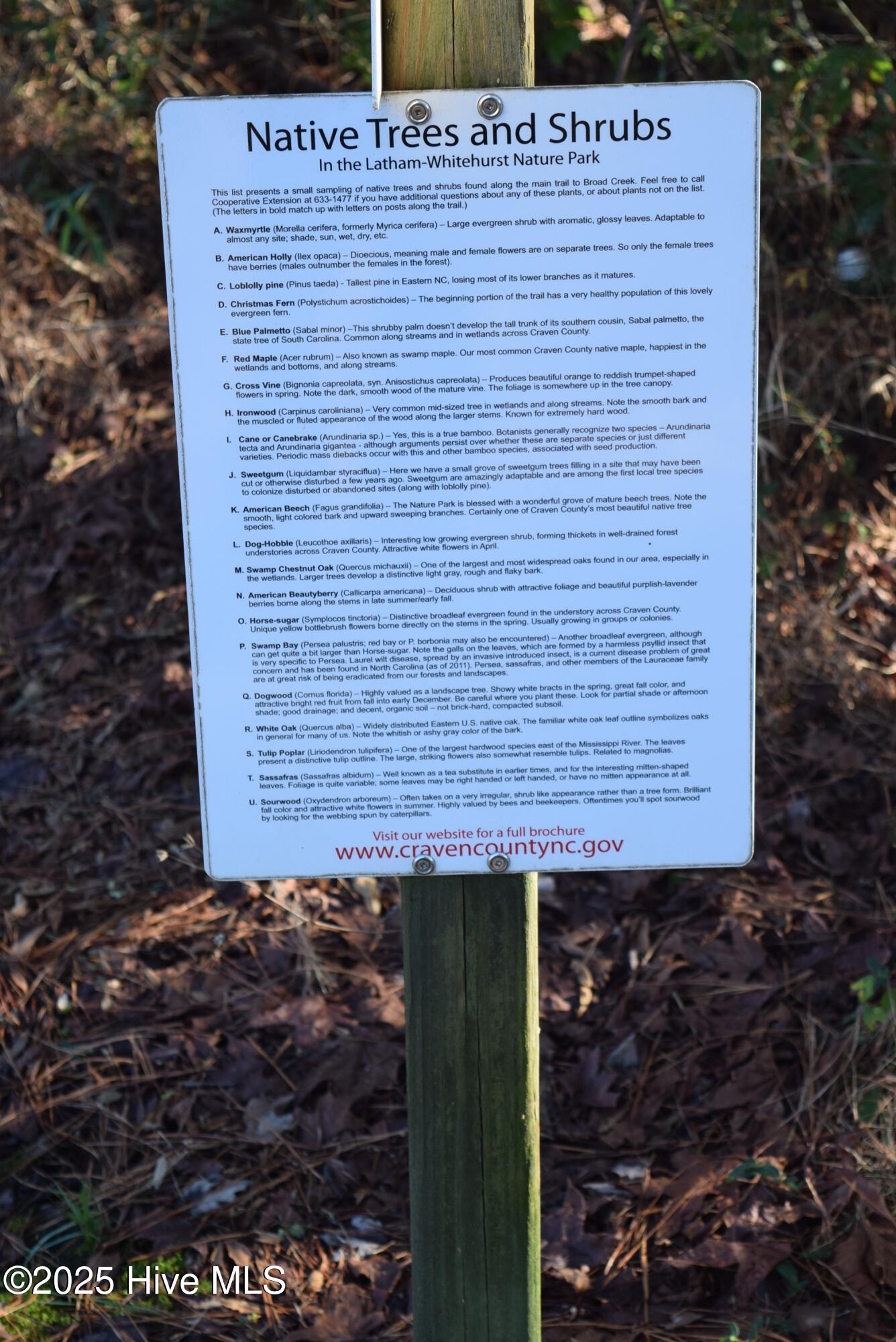 167 Finch Lane New Bern, NC 28560 - Photo 24 of 29 17