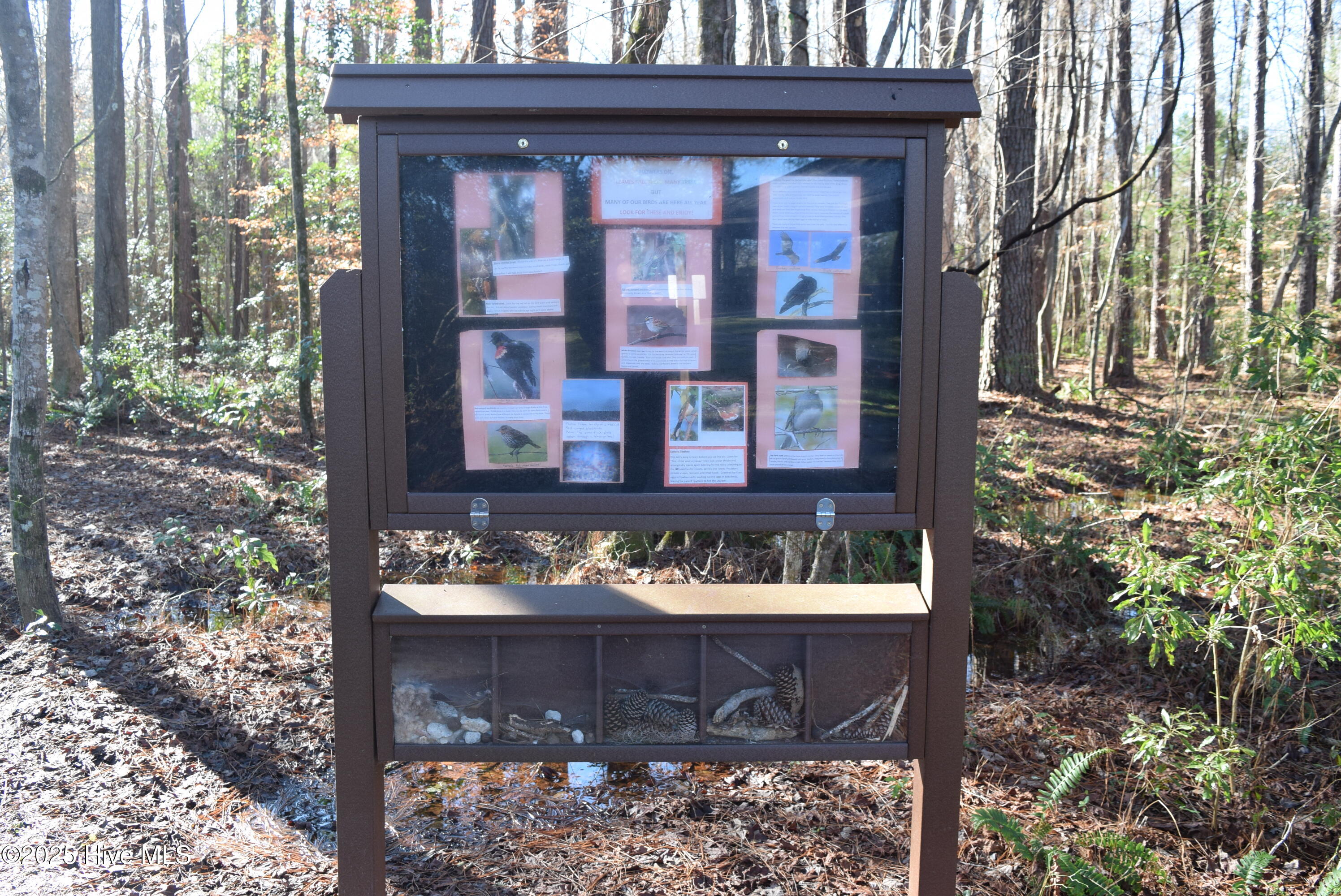 167 Finch Lane New Bern, NC 28560 - Photo 25 of 29 18