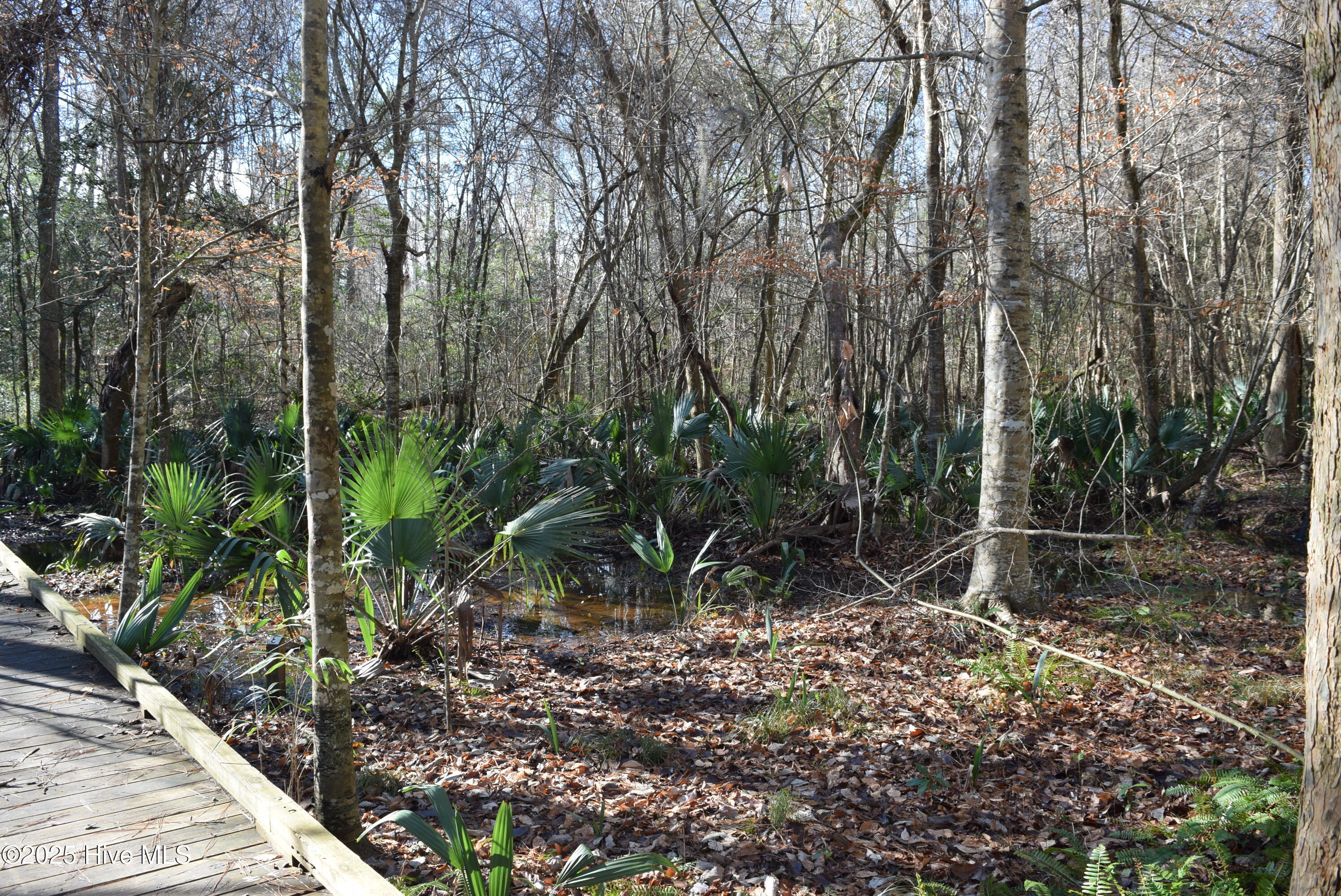 167 Finch Lane New Bern, NC 28560 - Photo 26 of 29 19