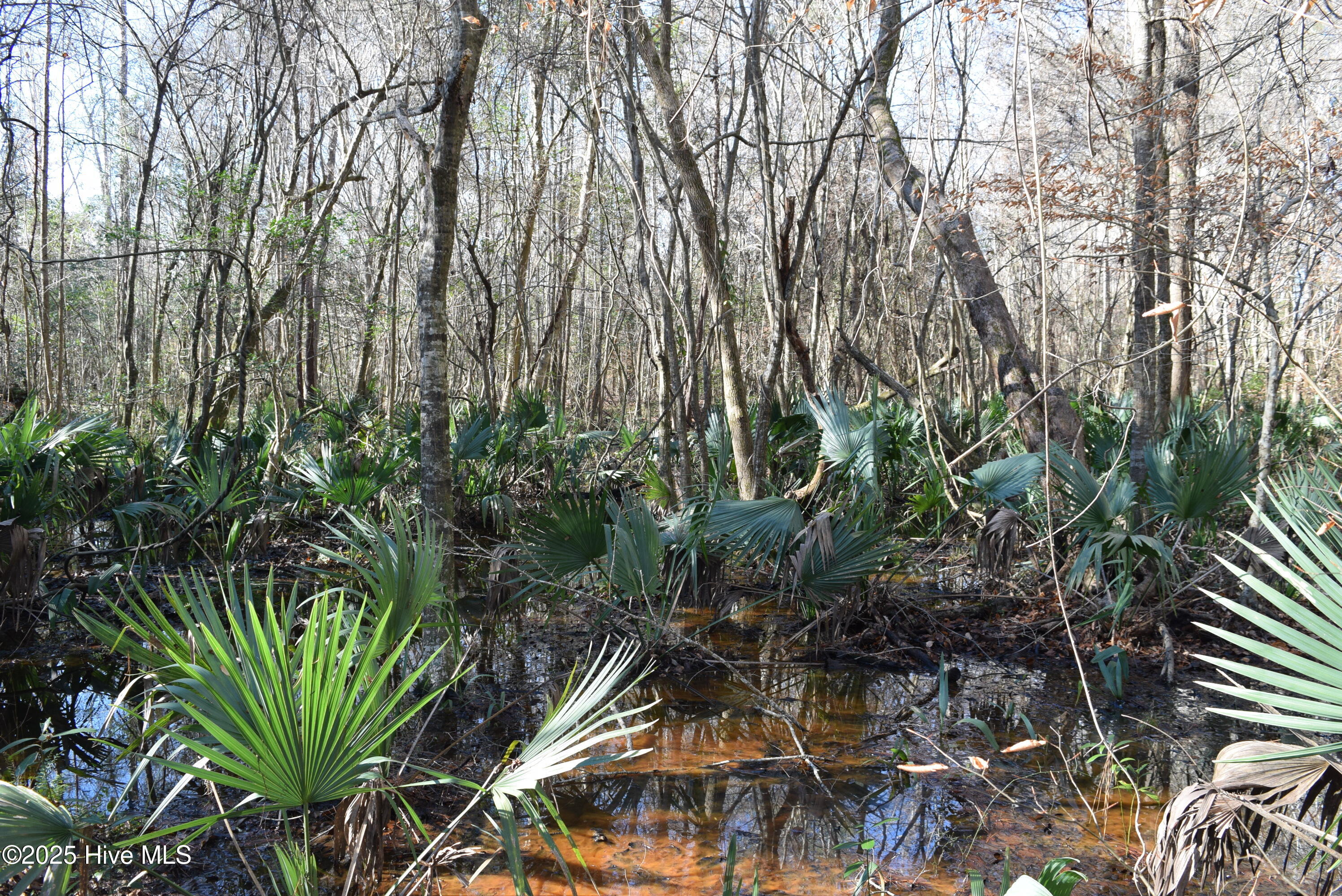 167 Finch Lane New Bern, NC 28560 - Photo 27 of 29 20