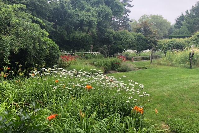 81 Keveney Lane Barnstable, MA 02675 - Photo 45 of 47 IMG_4751