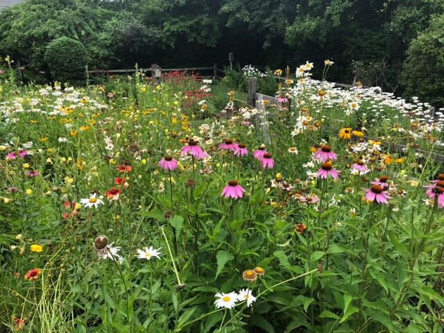 81 Keveney Lane Barnstable, MA 02675 - Photo 46 of 47 IMG_4746