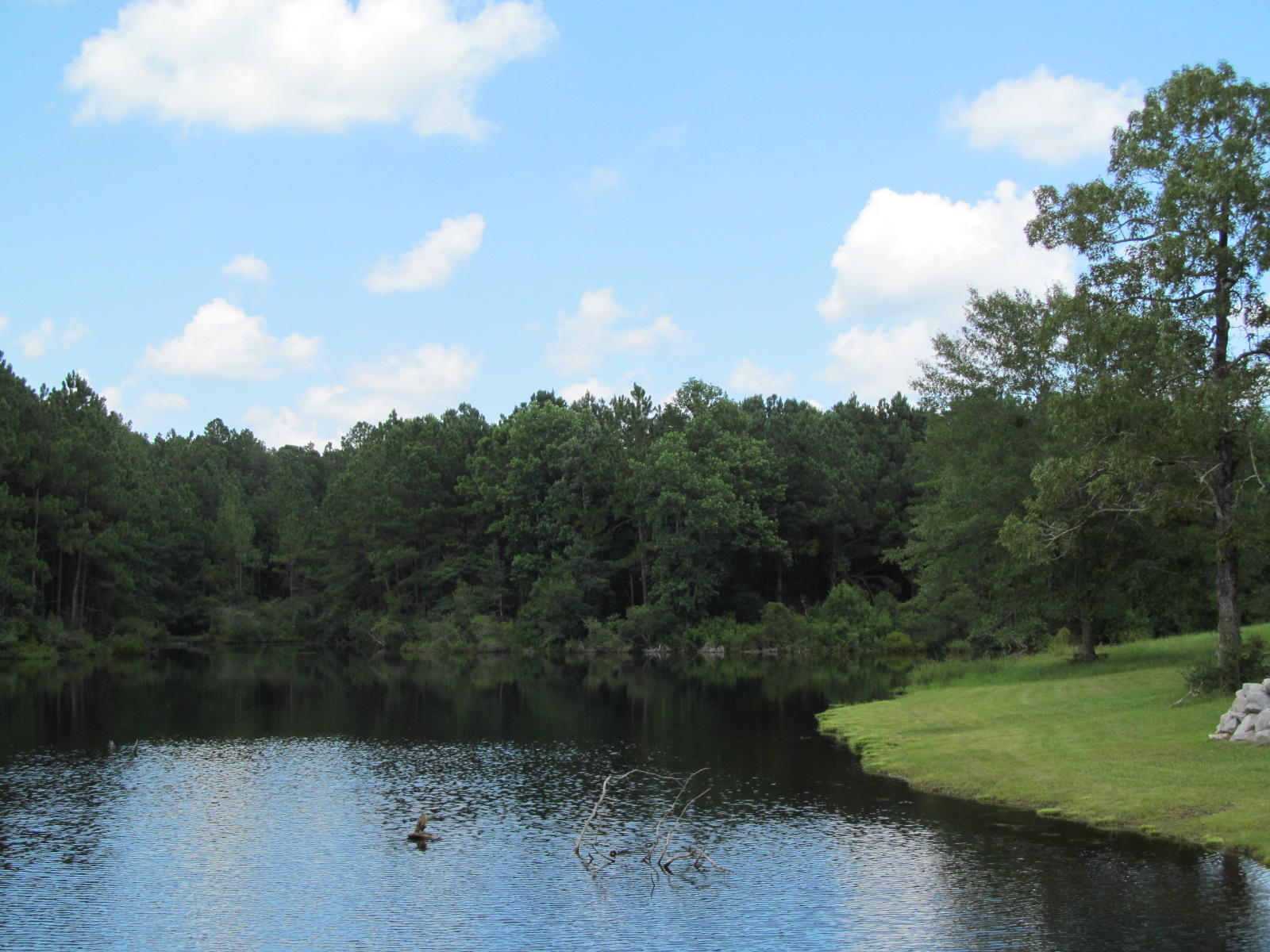 1176 Douglass Crossroad Road DeFuniak Springs, FL 32435 - Photo 22 of 45 douglas crossroads 009